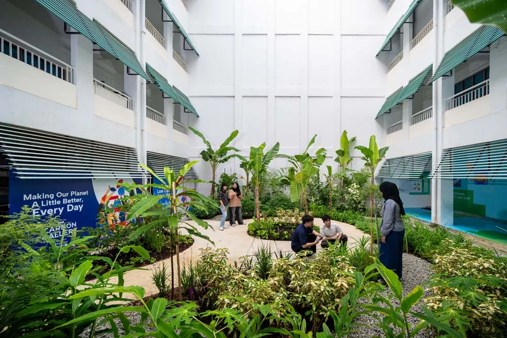 Agroforest for reducing carbon footprint