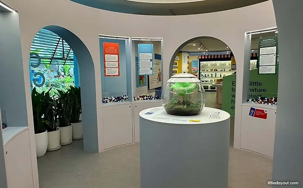 immersive exhibit area at The Carbon Gallery