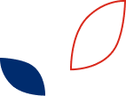 Leaf Icon