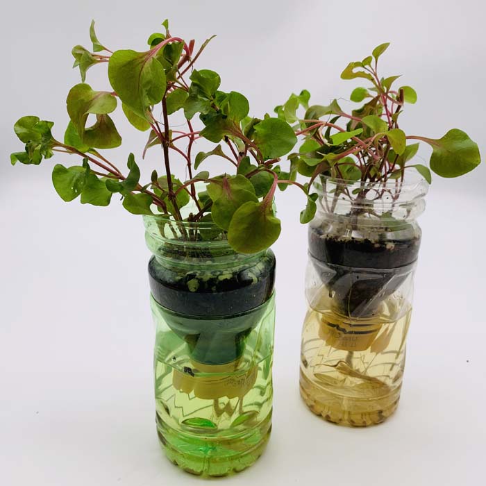 Upcycling workshop at The Carbon Gallery