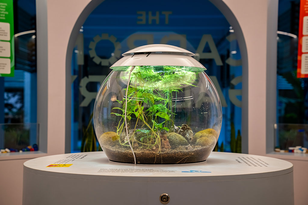 Hands-on experiment demonstrating ocean acidification